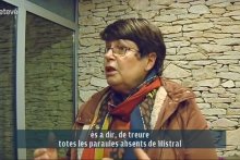 Betevé - #aranésòc: Lèu ua naua edicion deth diccionari ortografic, gramaticau e morfologic de Josiana Ubaud