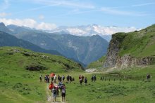 Corsa Aran per sa Lengua 2014