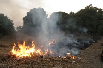 Cremada de la vegetacion per installar de novèlas culturas