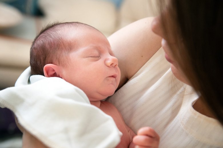 Tre la debuta, la vida sembla èsser marcada per una reciprocitat biologica prigonda