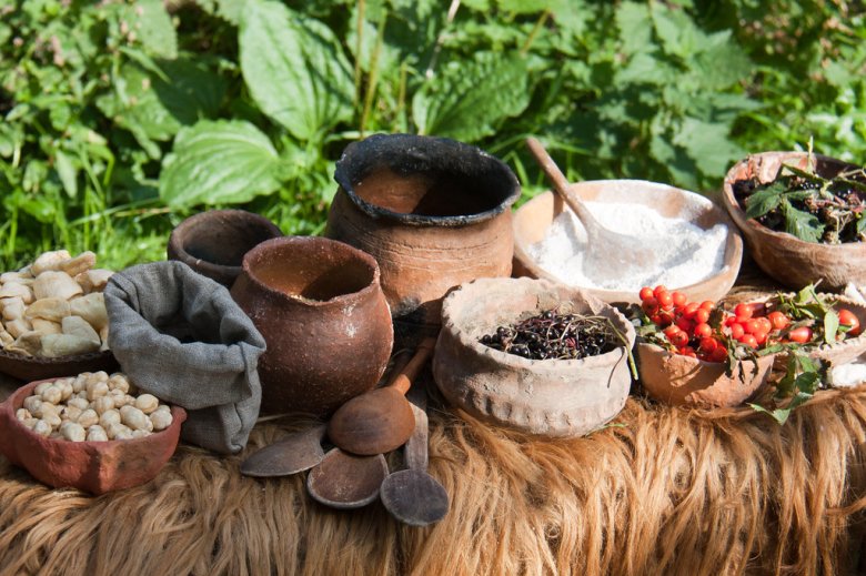 Aquelas populacions de caçaires-culheires consumavan un nombre important de plantas mediterranèas, foguèt aital pendent de milièrs d’ans